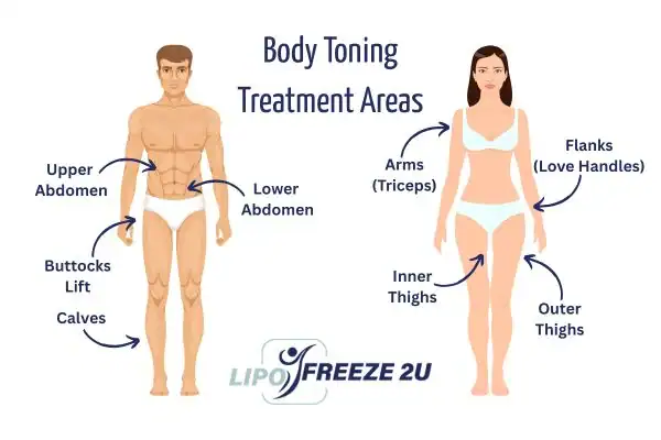 Graphic showing where you can have Body toning Treatment Bury St Edmunds on your body
